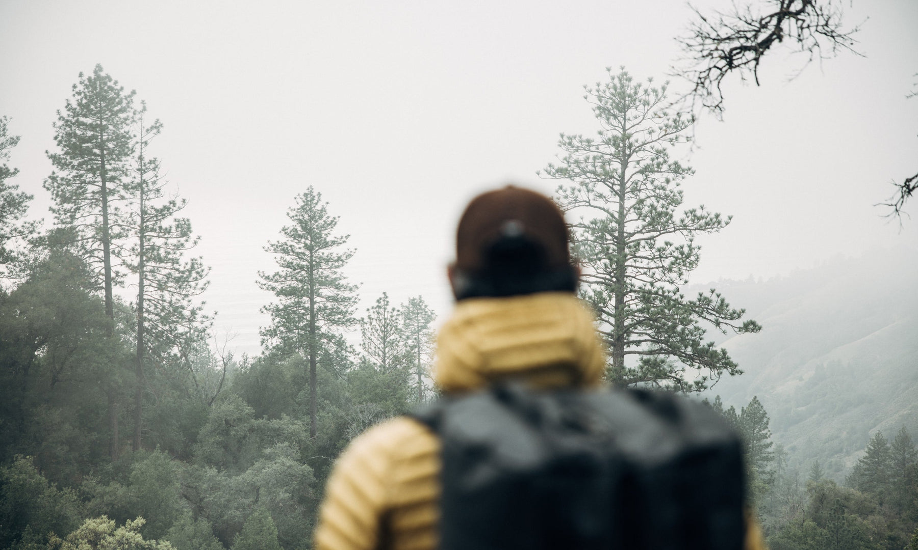 What is Backpacking?