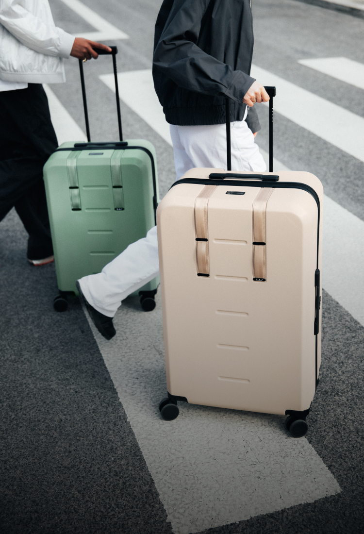 Check-In Luggage
