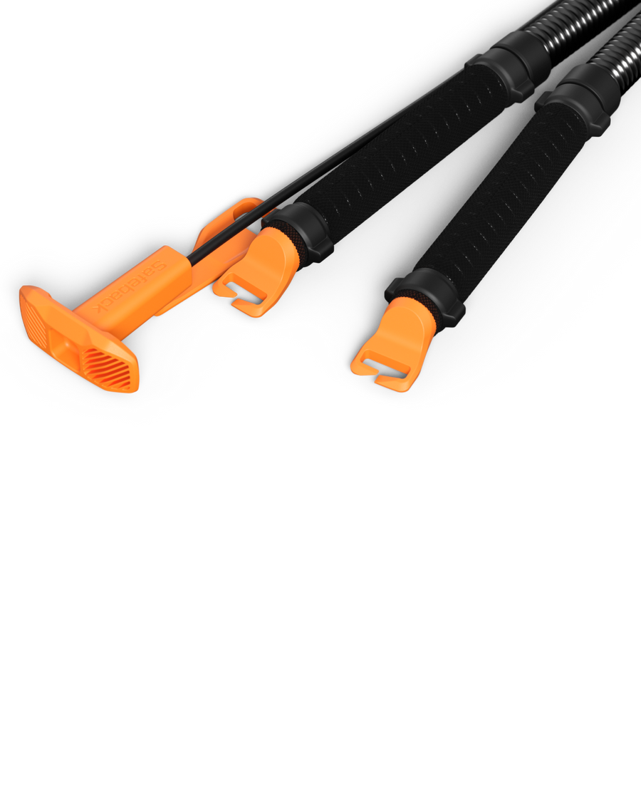 Safeback SBX System Module