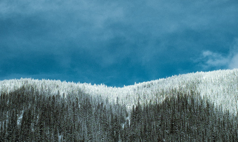 Backcountry Skiing Checklist.