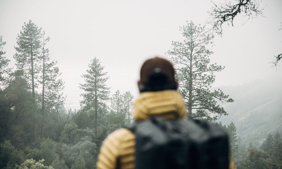 What is Backpacking?